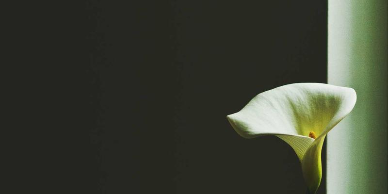 从入门到精通:艺术收藏家的手工艺品全攻略