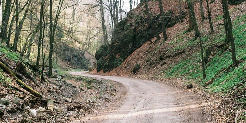 从手工艺品到艺术收藏：陶瓷工艺78号的永恒魅力与投资指南