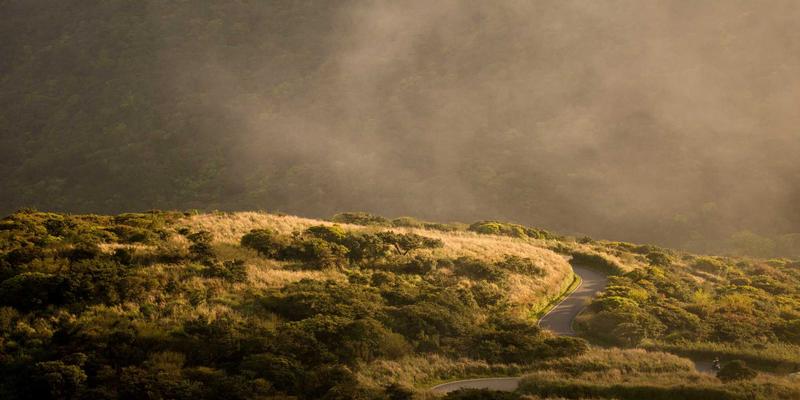 从神话到极简:斯堪的纳维亚木工如何将功能美学融入生活,并启示当代工艺美术与艺术品交易
