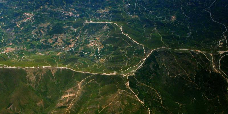 工艺品77：木雕艺术收藏的鉴赏、保养与投资指南