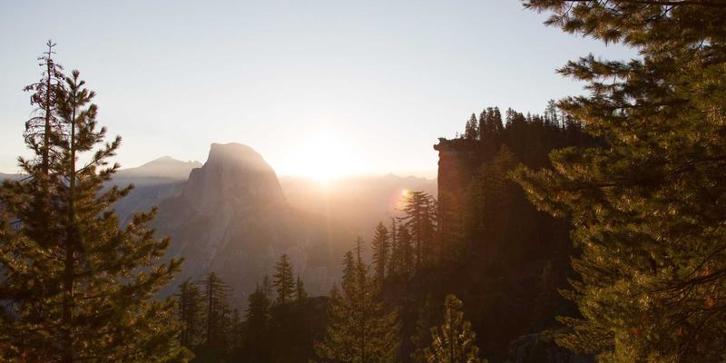 欧洲古董工艺品收藏指南:从陶瓷、木雕中发现沉睡的财富