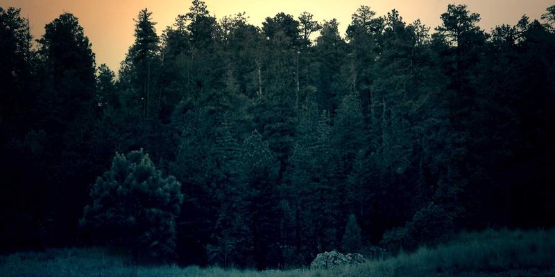 纤维艺术的叙事革命：解码当代壁挂与软雕塑中的工艺密码与文化隐喻