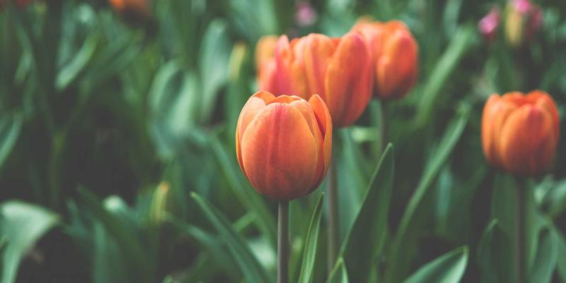 蒸汽波艺术与木雕工艺的碰撞:解锁家居空间美学的3个高阶搭配法则